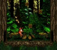 une photo d'Ã©cran de Donkey Kong Country sur Nintendo Super Nes